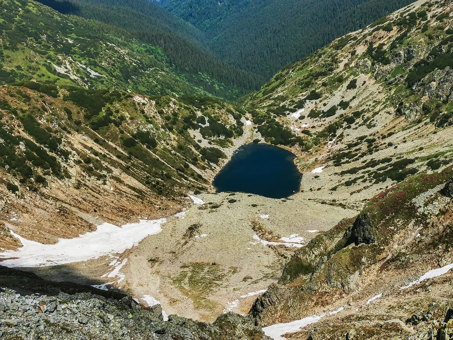 Carpații Meridionali