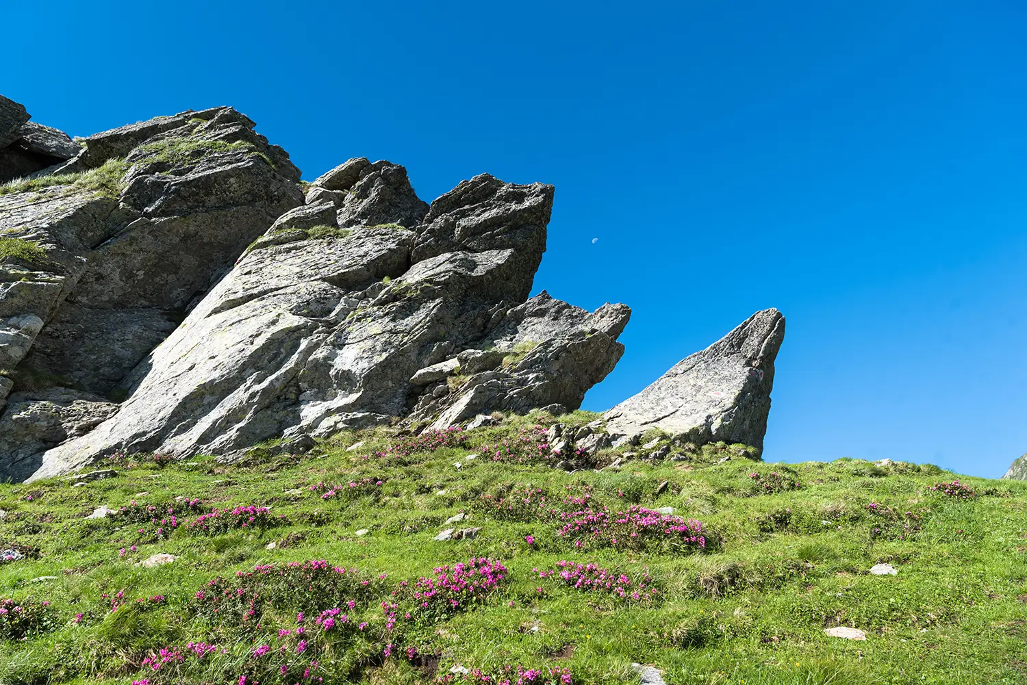 Munții Făgărașului