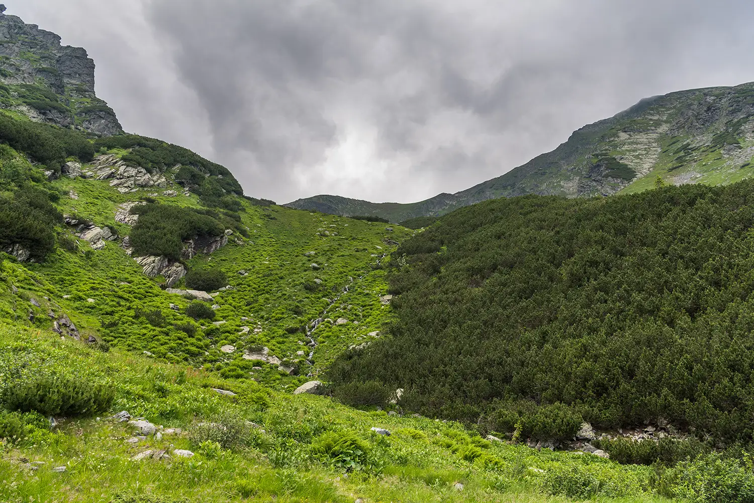 Munții Făgărașului