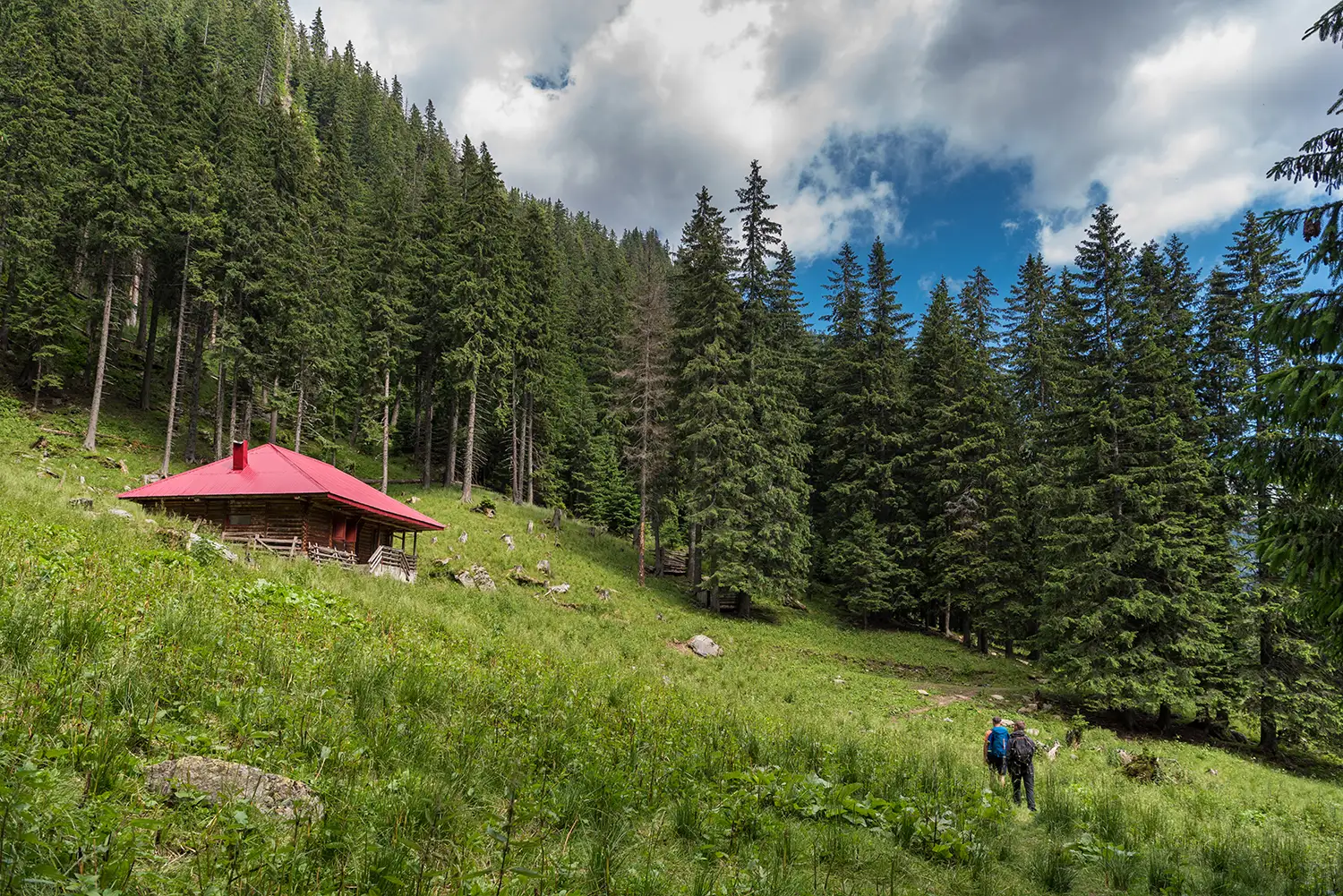 Munții Făgărașului