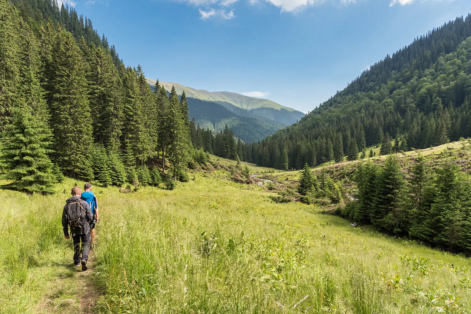Munții Făgărașului