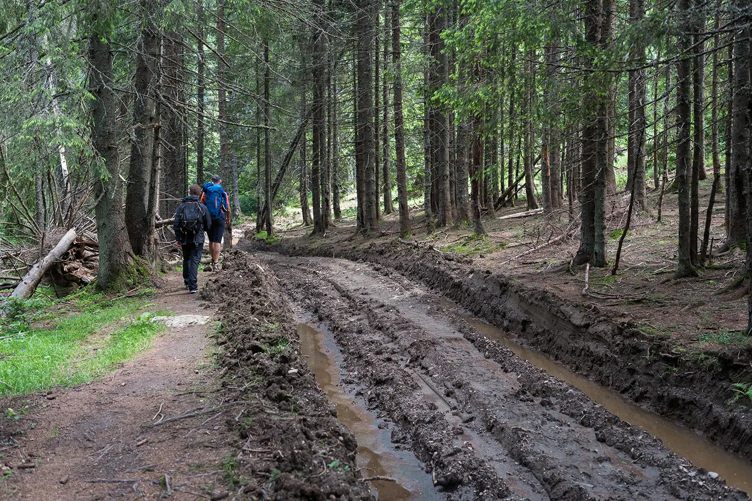 Munții Făgărașului