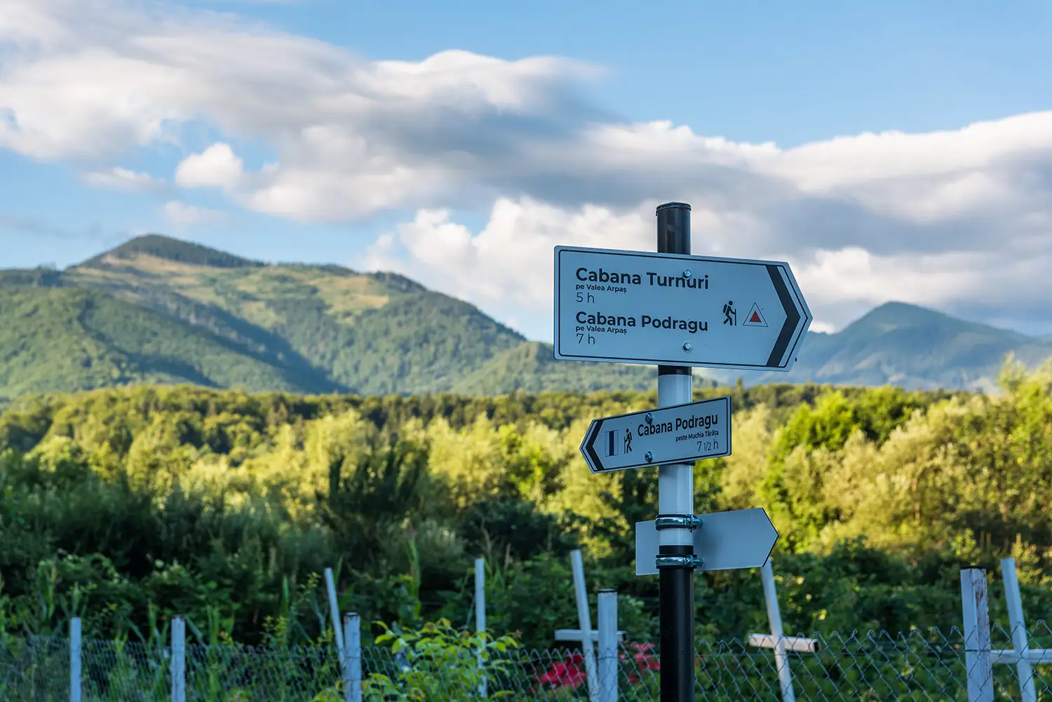 Munții Făgărașului