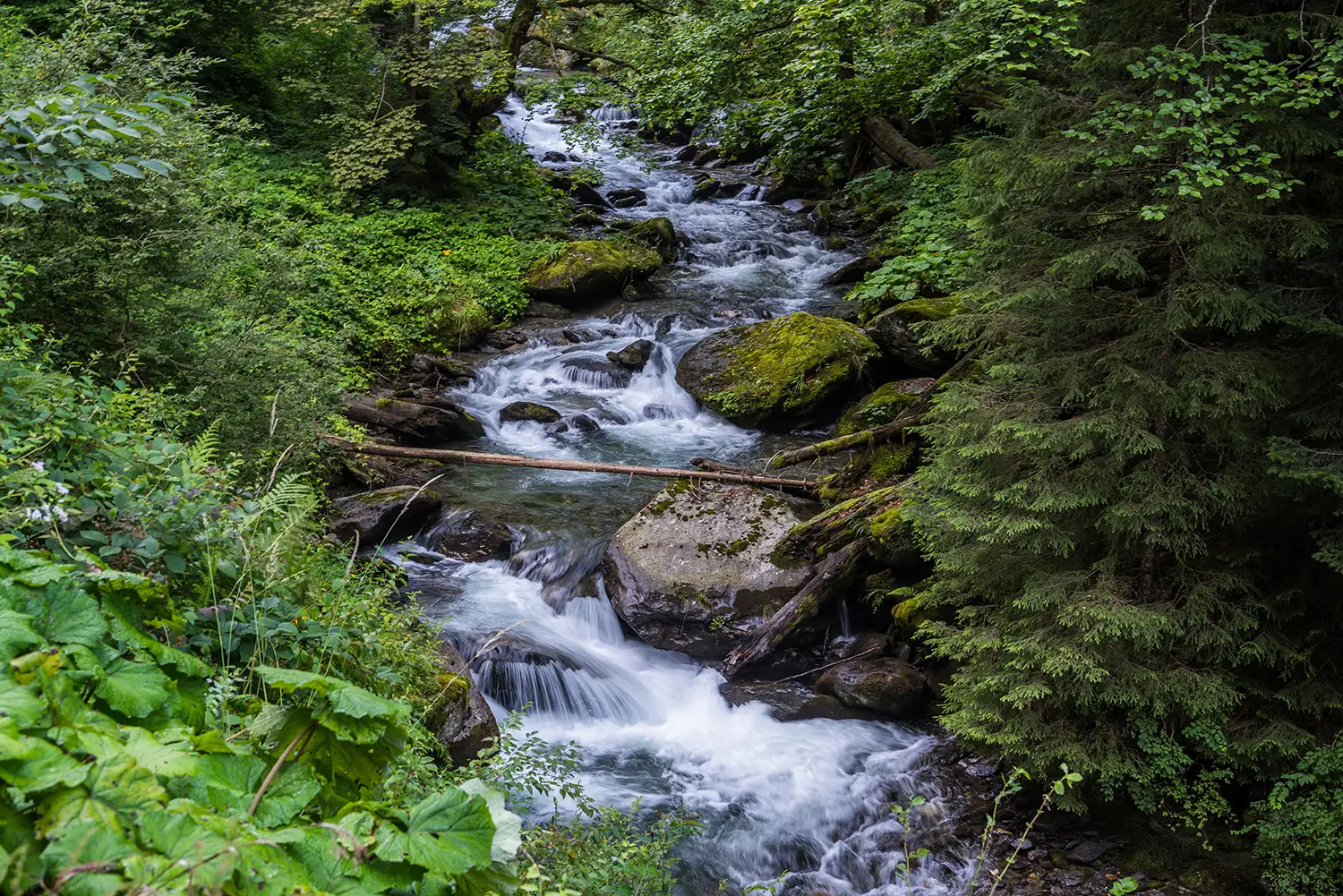Munții Făgărașului