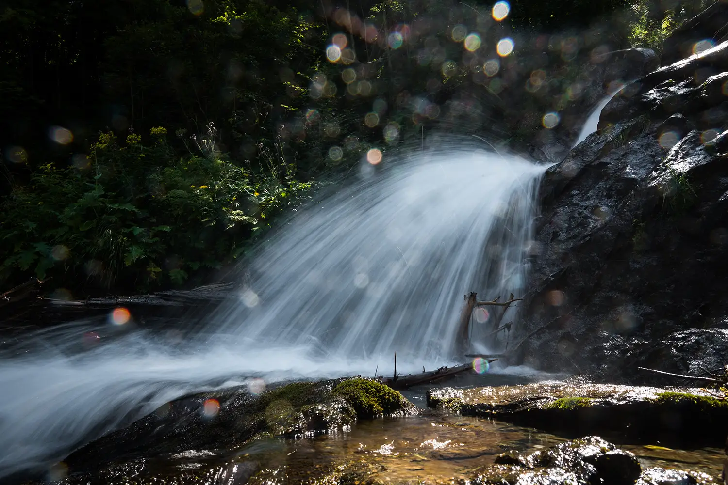 Munții Făgărașului