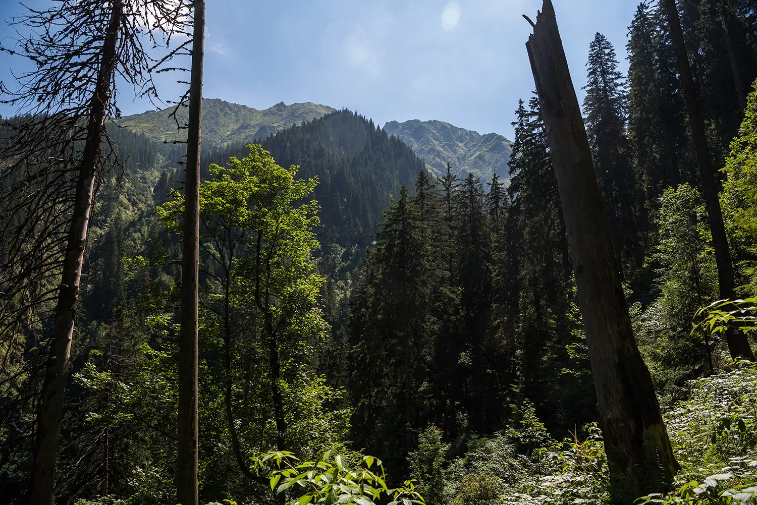 Munții Făgărașului