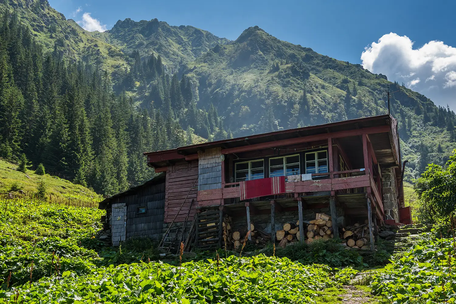 Munții Făgărașului