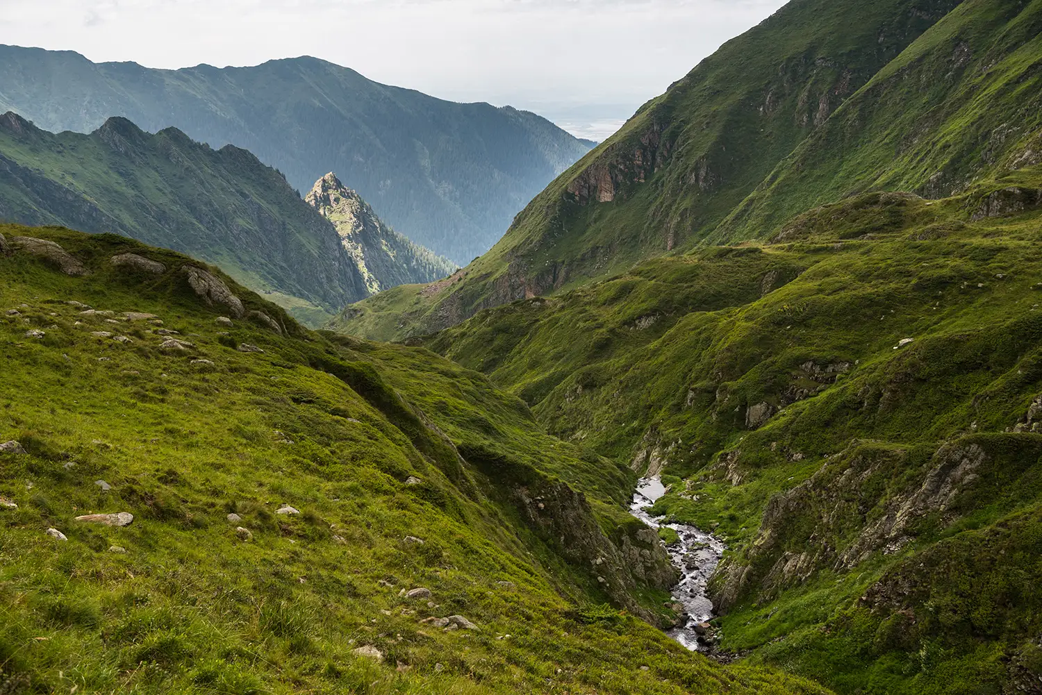 Munții Făgărașului