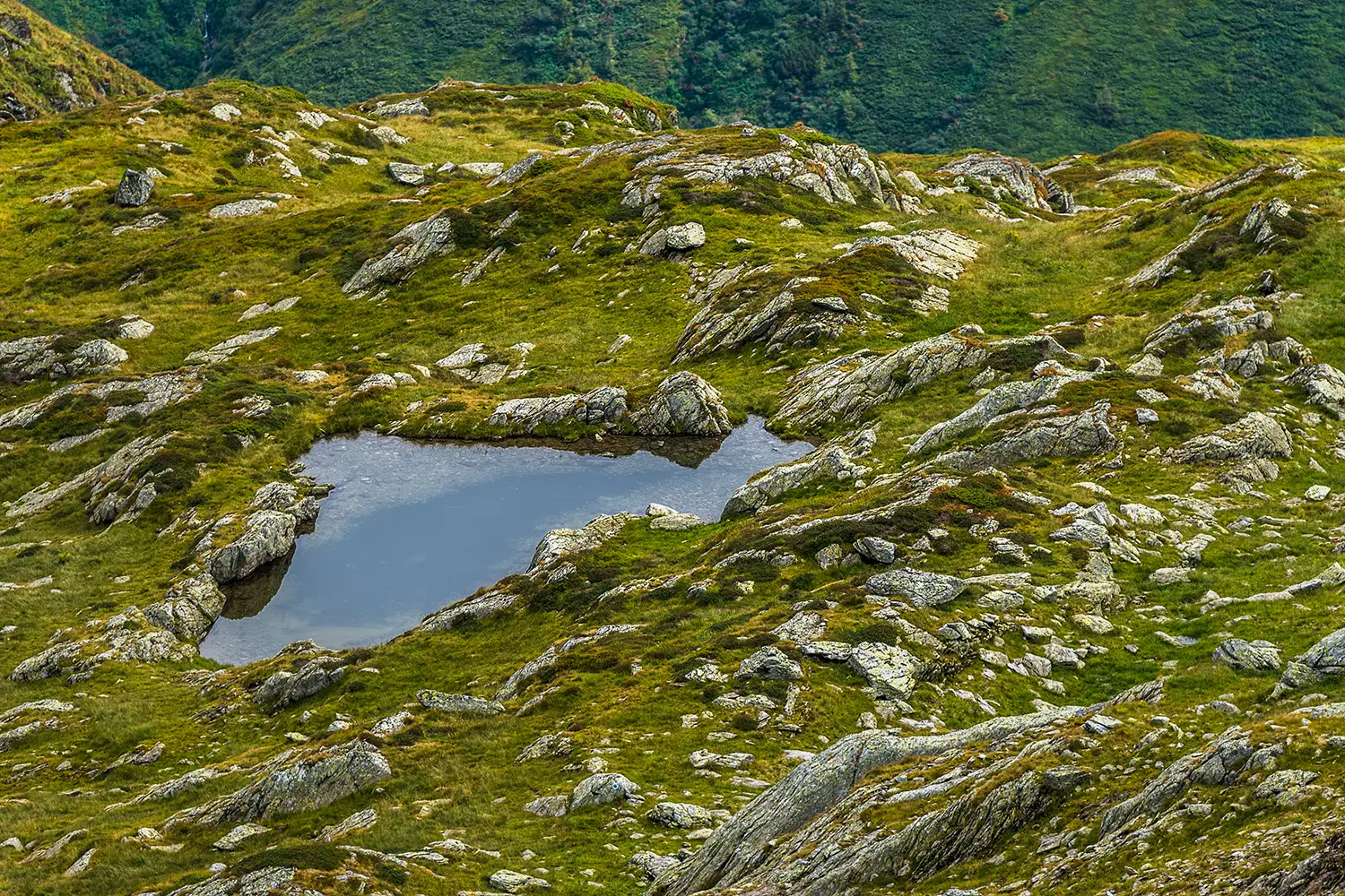 Munții Făgărașului