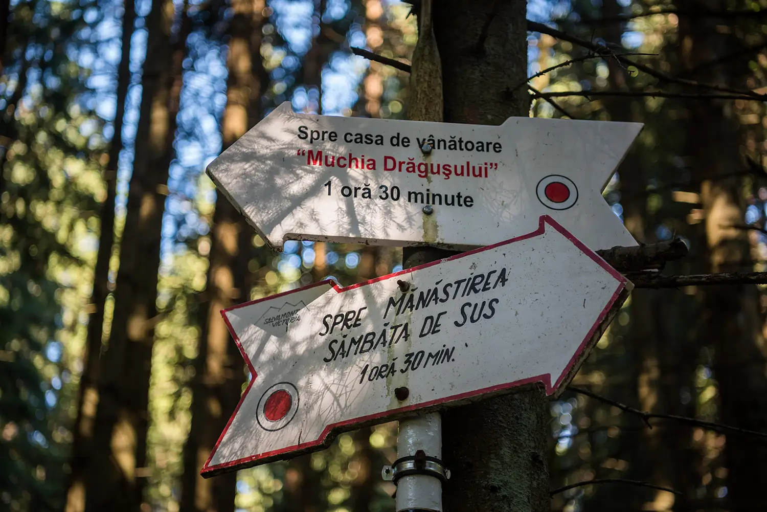 Munții Făgărașului