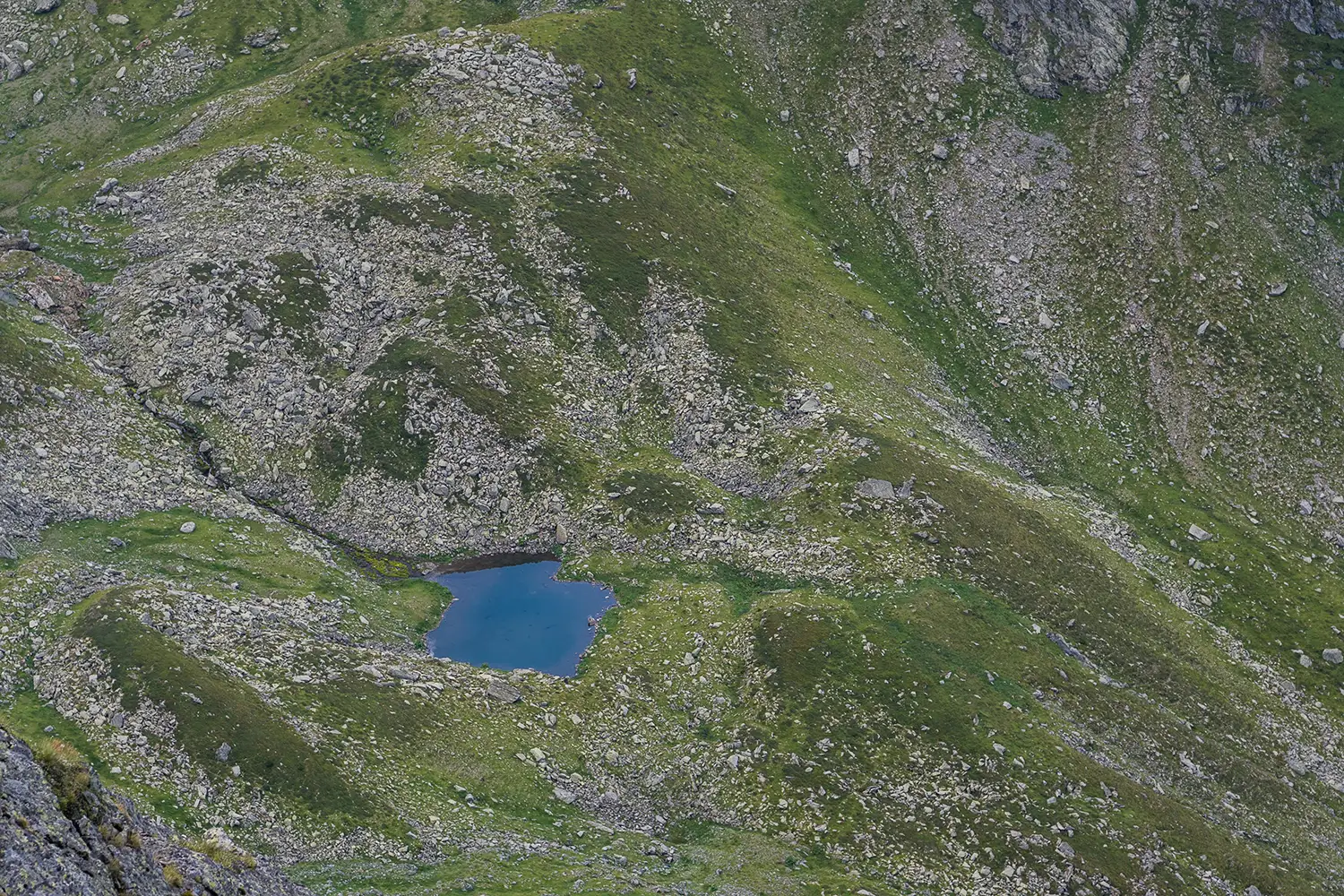 Munții Făgărașului