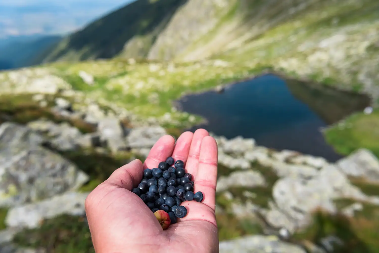 Munții Făgărașului