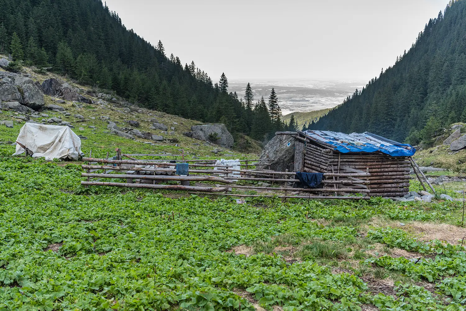 Munții Făgărașului
