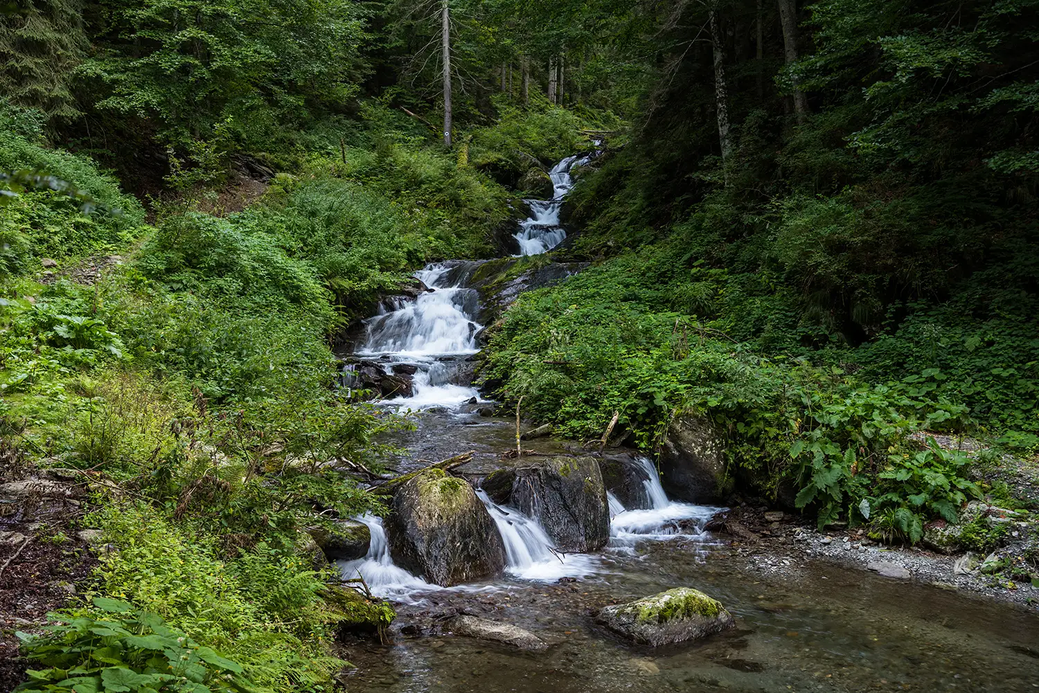 Munții Făgărașului