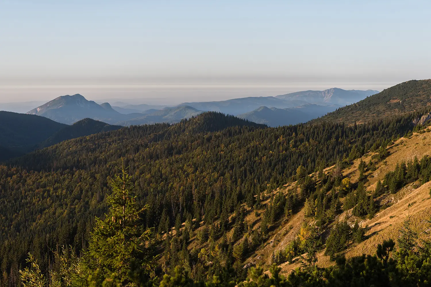 Munții Piule - Iorgovanu