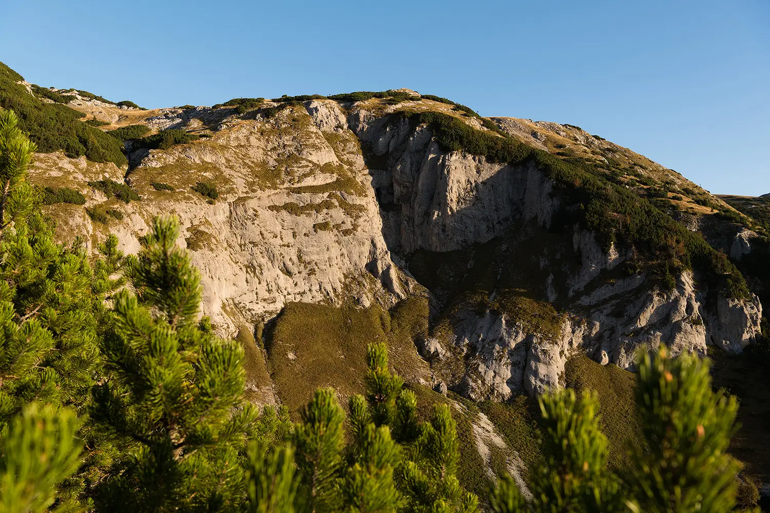 Munții Piule - Iorgovanu