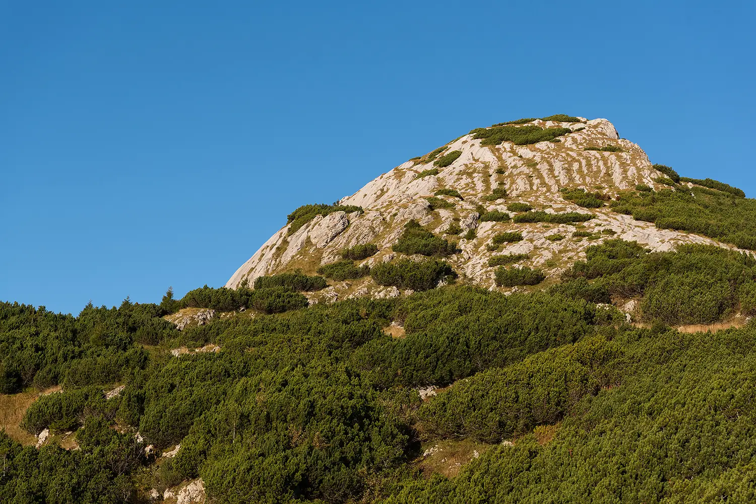 Munții Piule - Iorgovanu