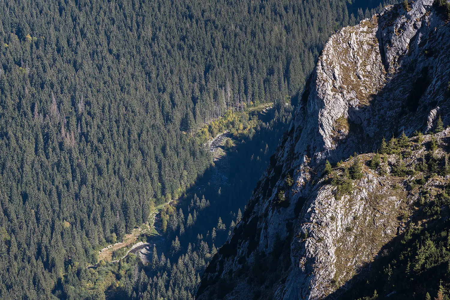 Munții Piule - Iorgovanu