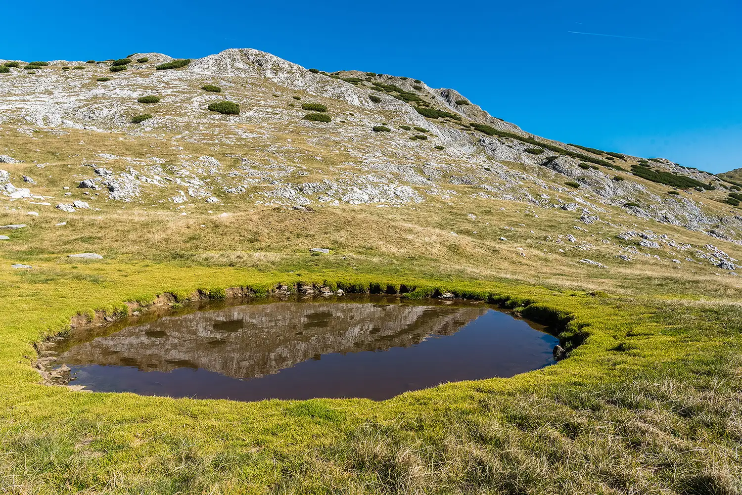Munții Piule - Iorgovanu