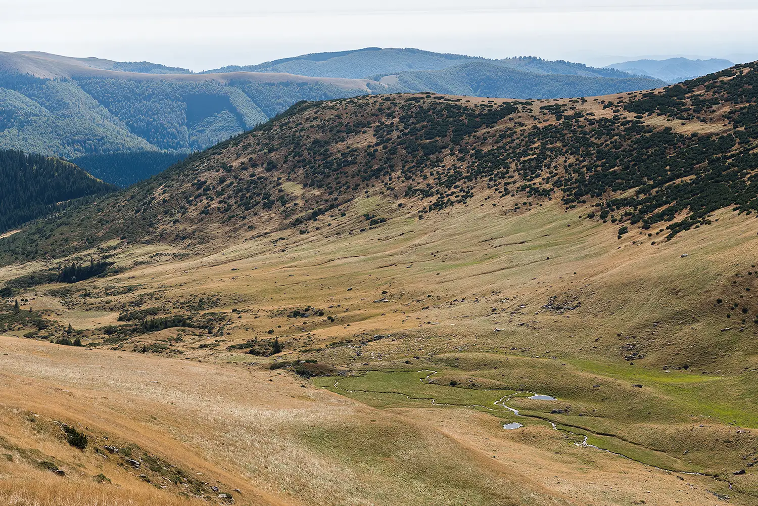  Munții Piule - Iorgovanu