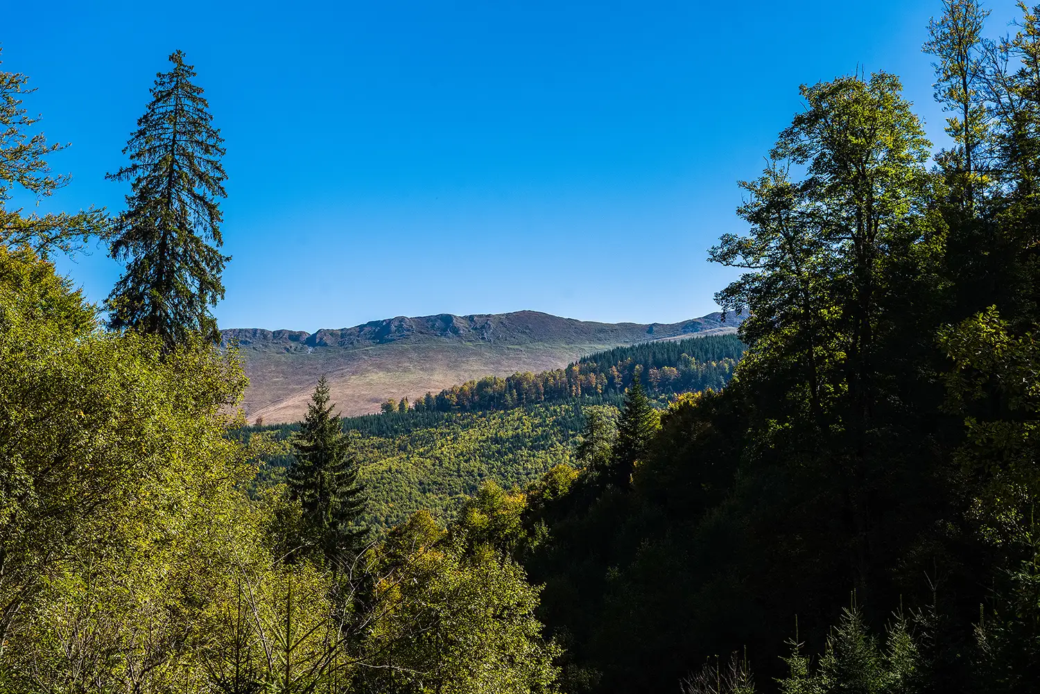 Munții Piule - Iorgovanu