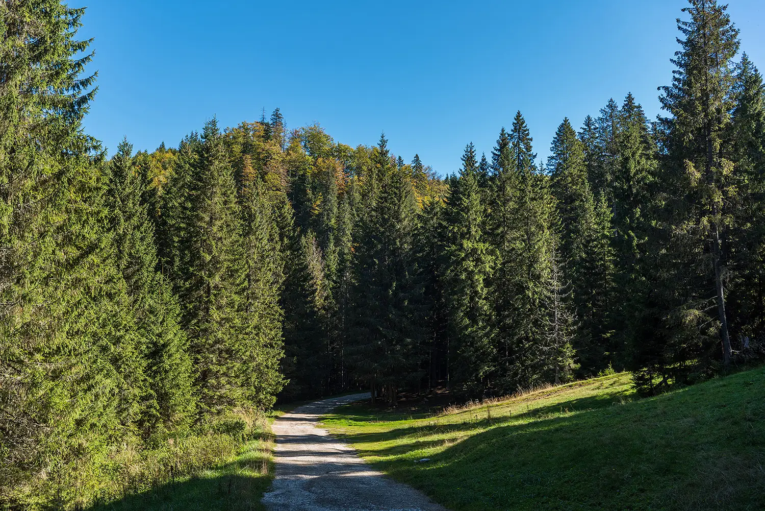 Munții Piule - Iorgovanu