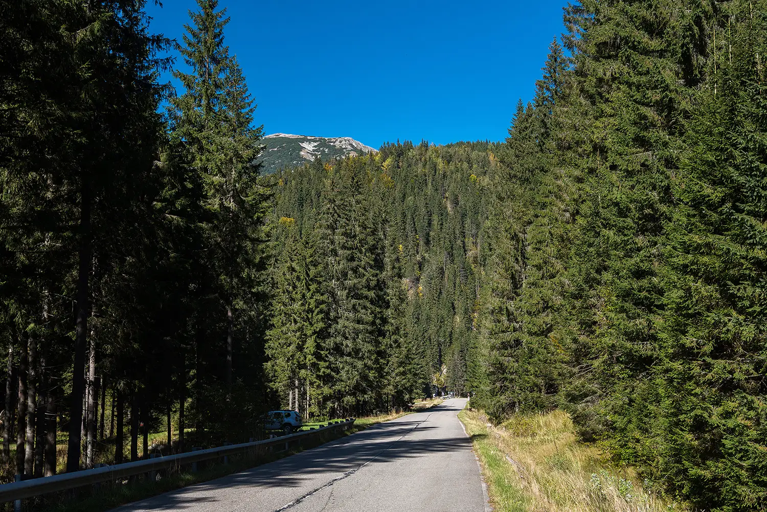 Munții Piule - Iorgovanu