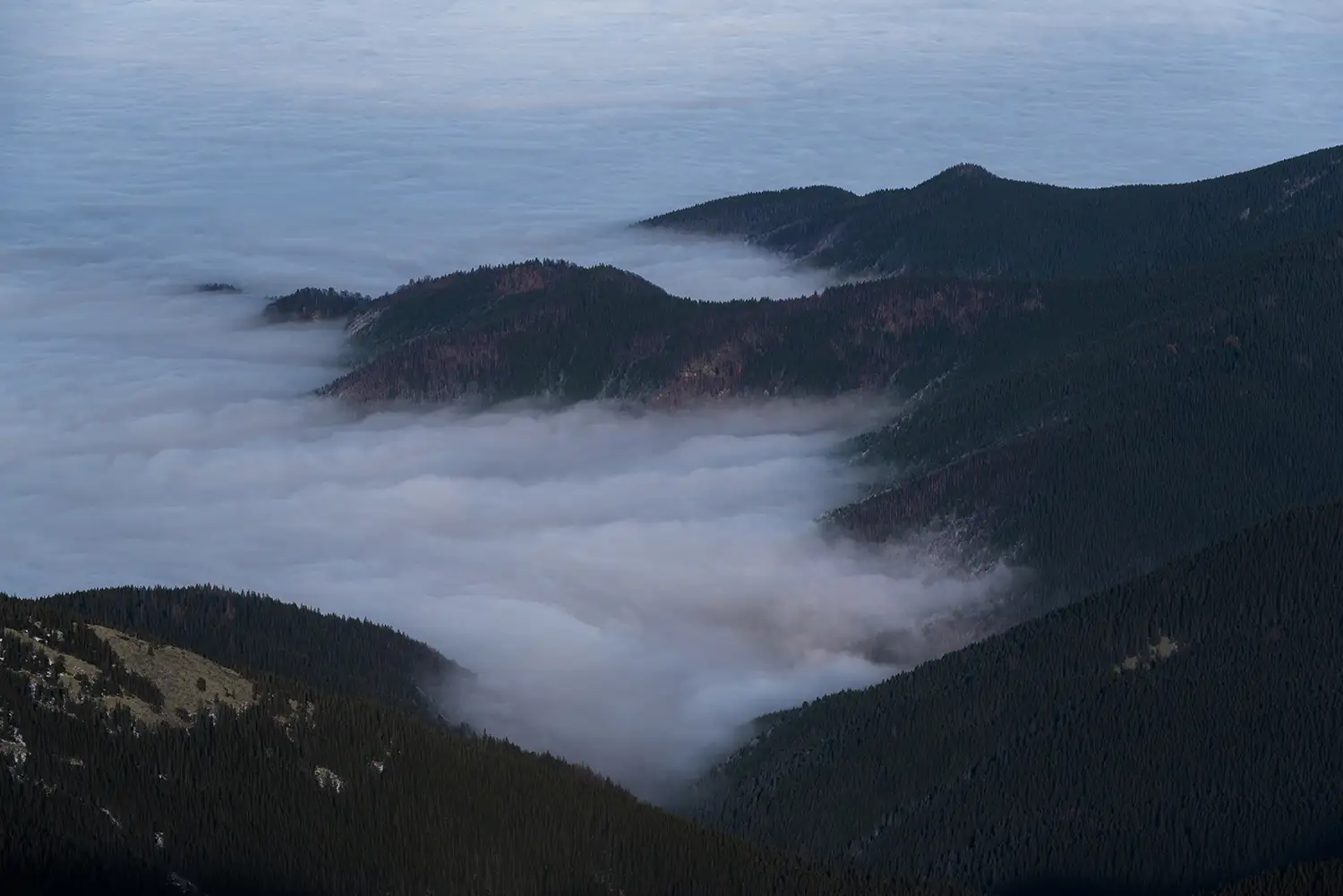 Carpații Meridionali