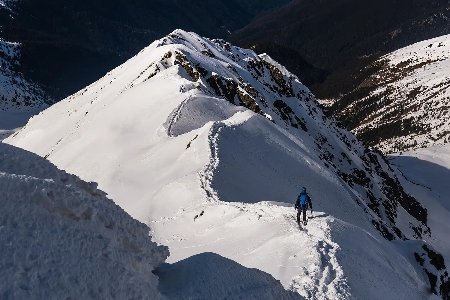 Carpații Meridionali