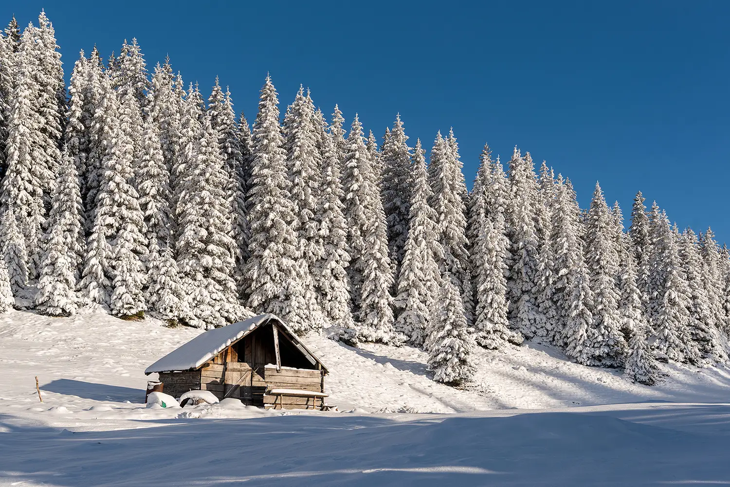 Carpații Meridionali