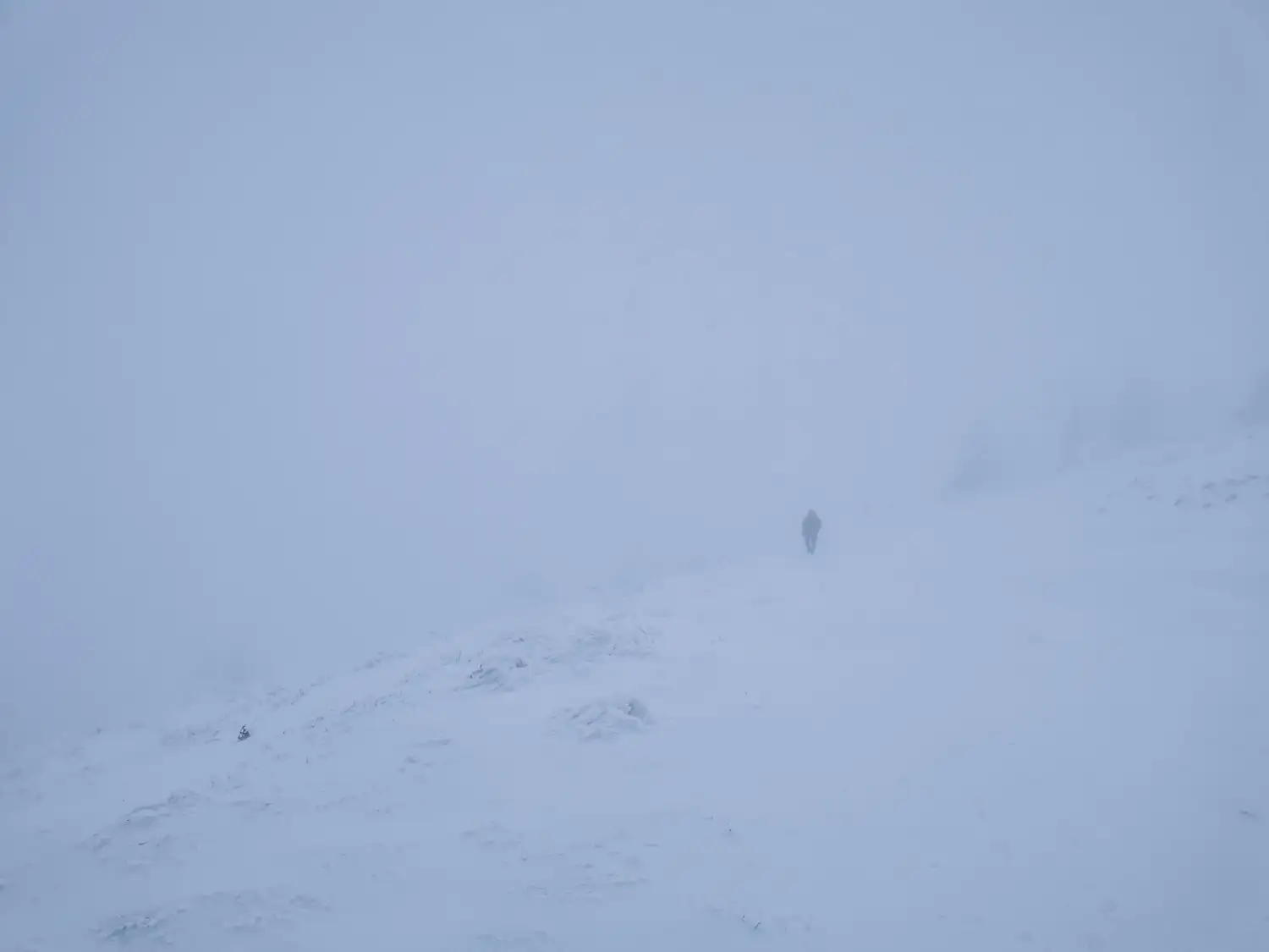 Carpații Meridionali