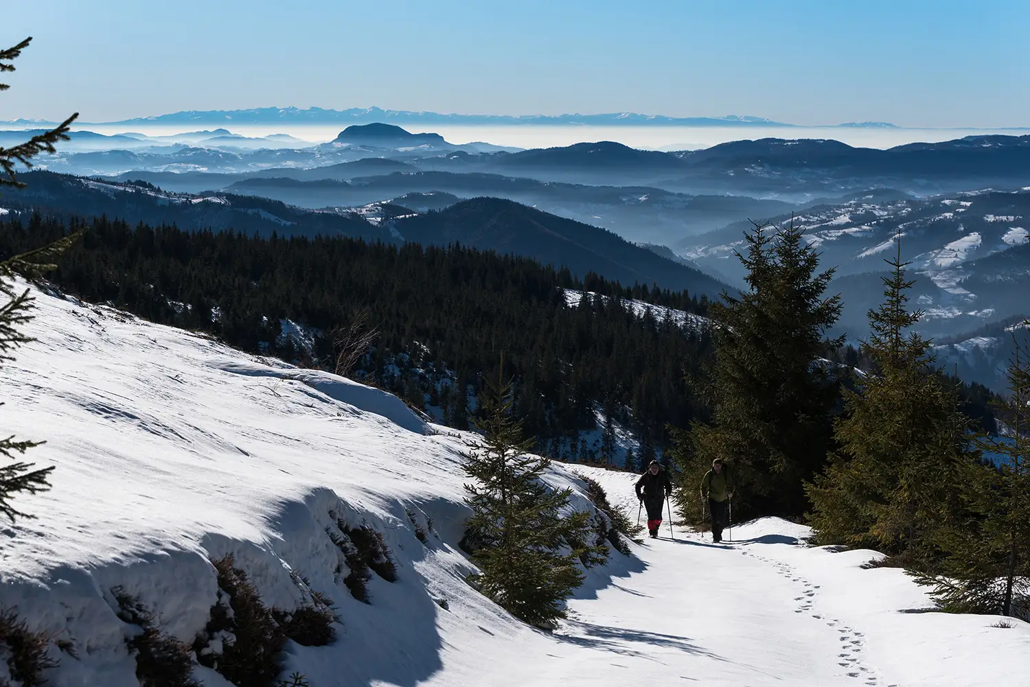 Munții Gilău - Muntele Mare