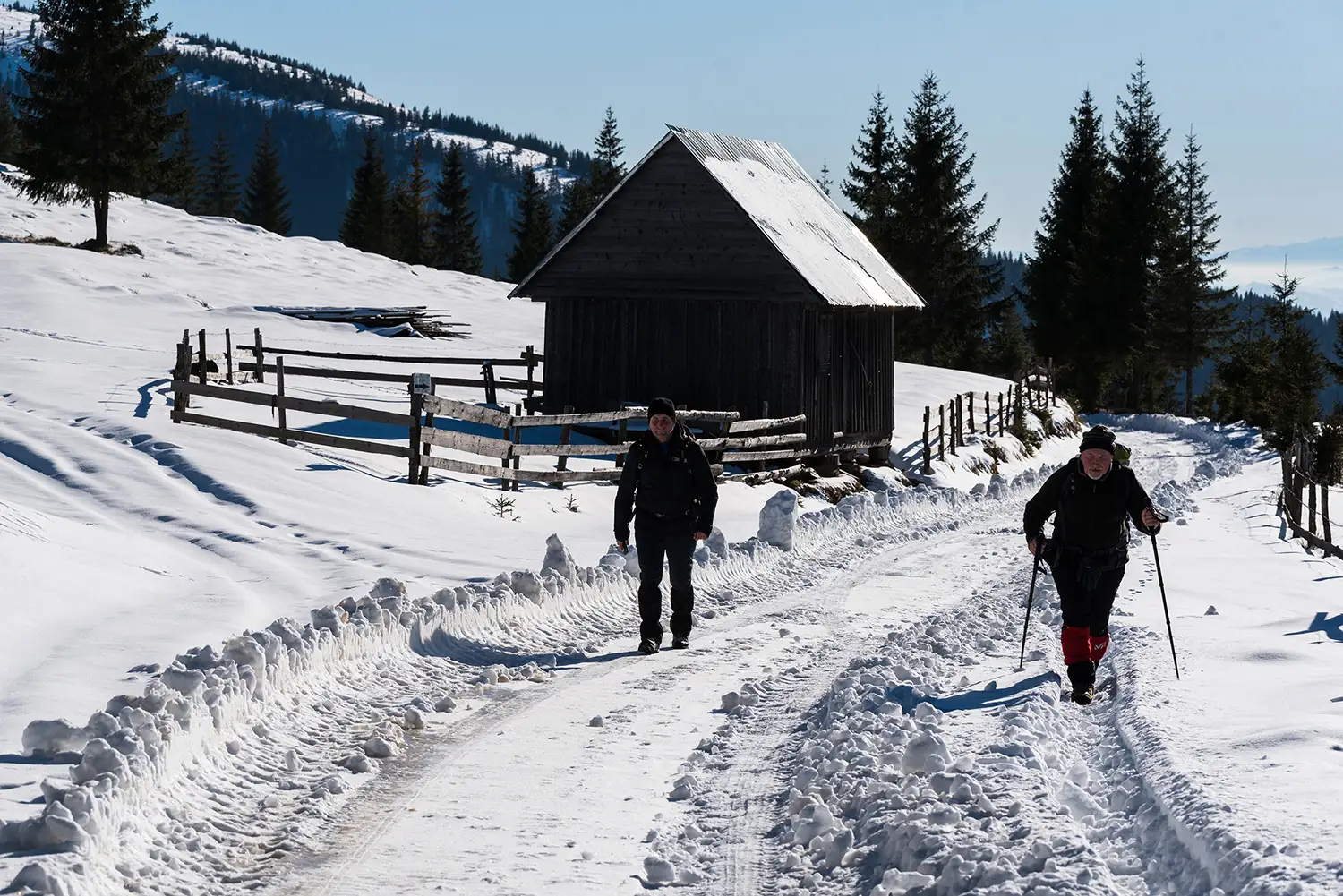 Munții Gilău - Muntele Mare