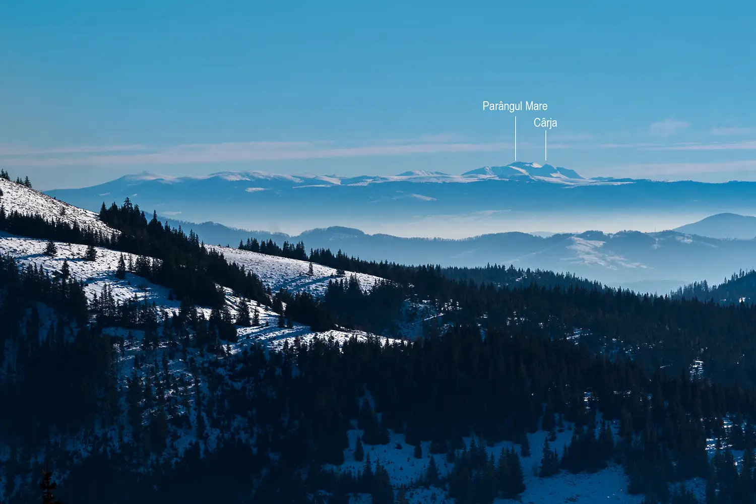 Munții Gilău - Muntele Mare