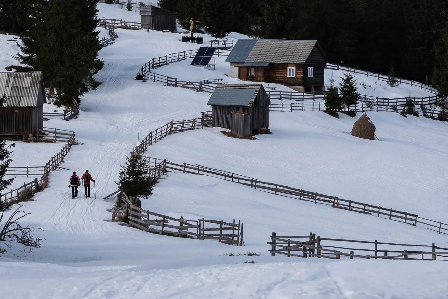 Munții Gilău - Muntele Mare
