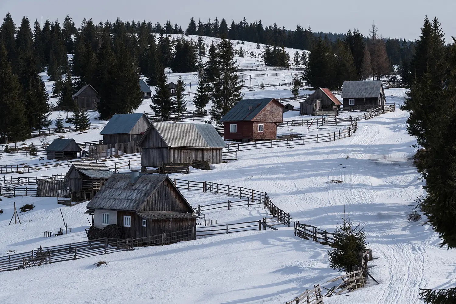 Munții Gilău - Muntele Mare