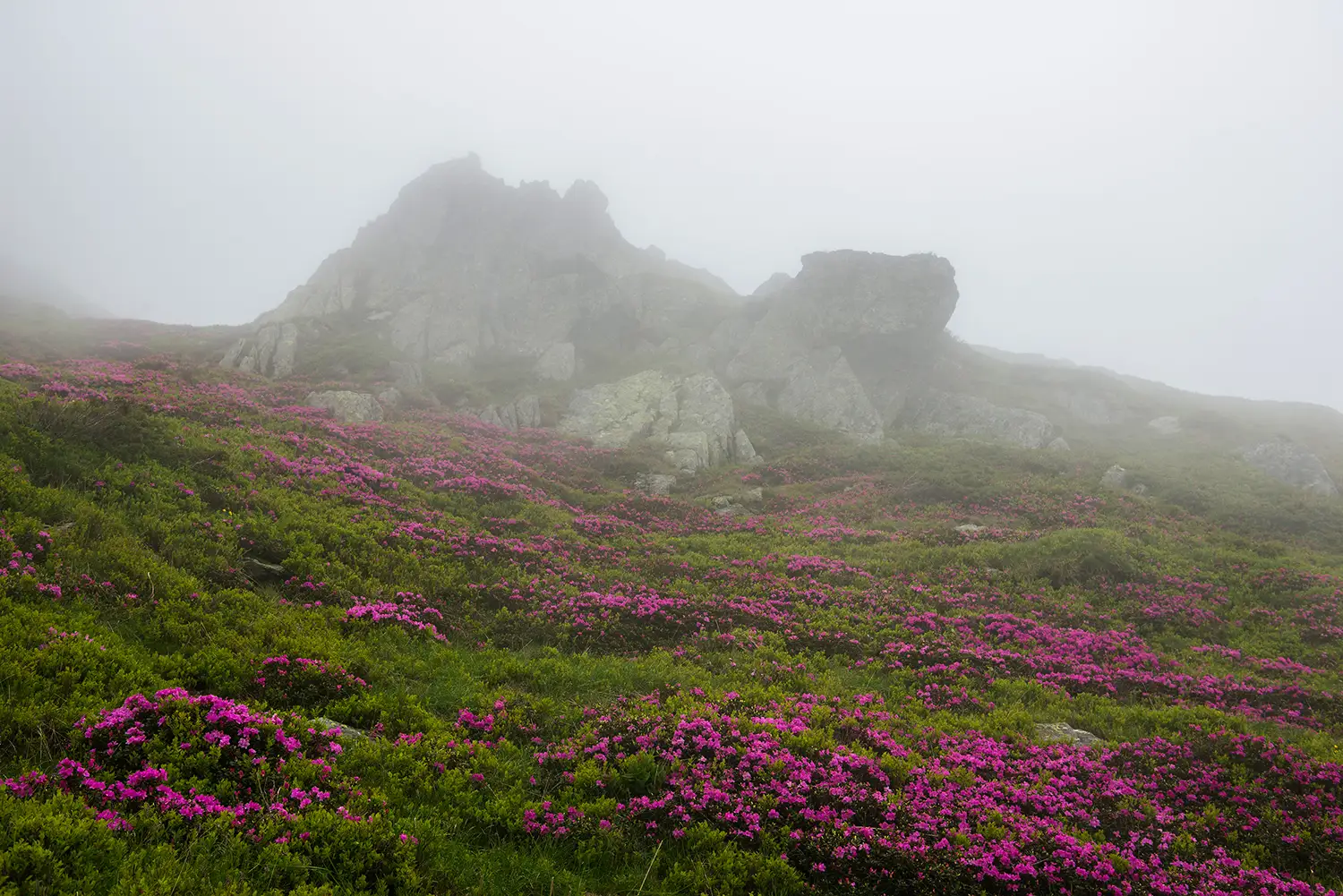 Munții Făgărașului