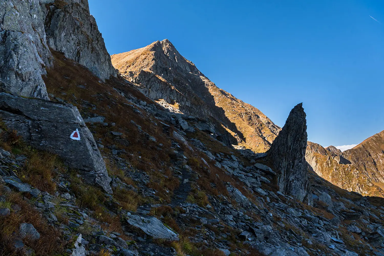  Munții Făgărașului