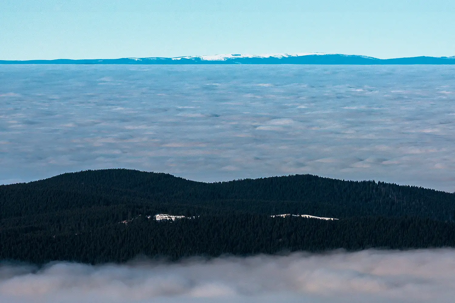 Carpații Meridionali