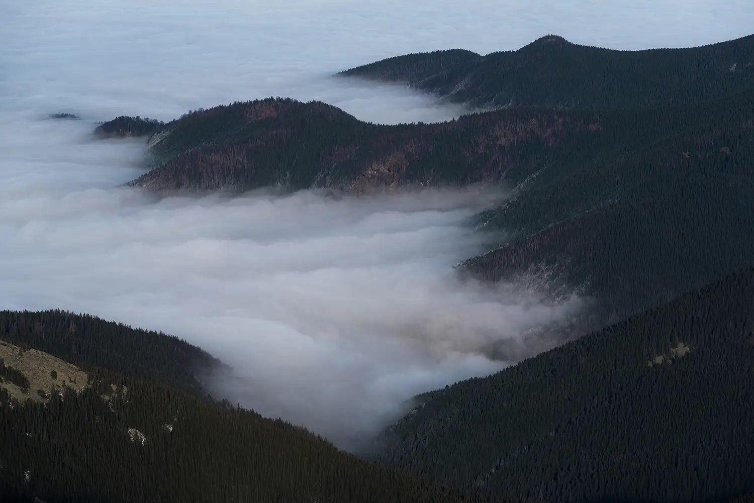  Carpații Meridionali