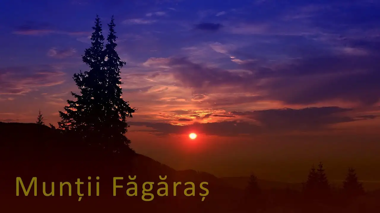  cabana barcaciu - m-tii fagaras