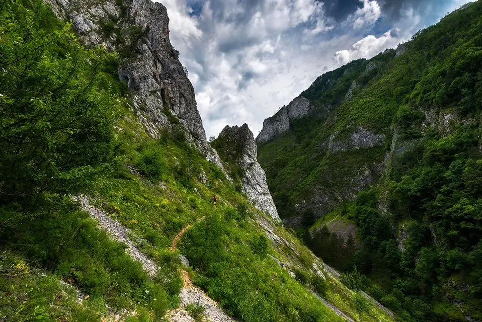  Brana Caprei Cheile Rametului - Morar Daniel