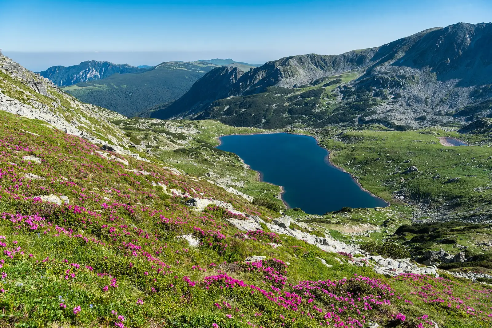 Bucura în straie de iunie - Morar Daniel