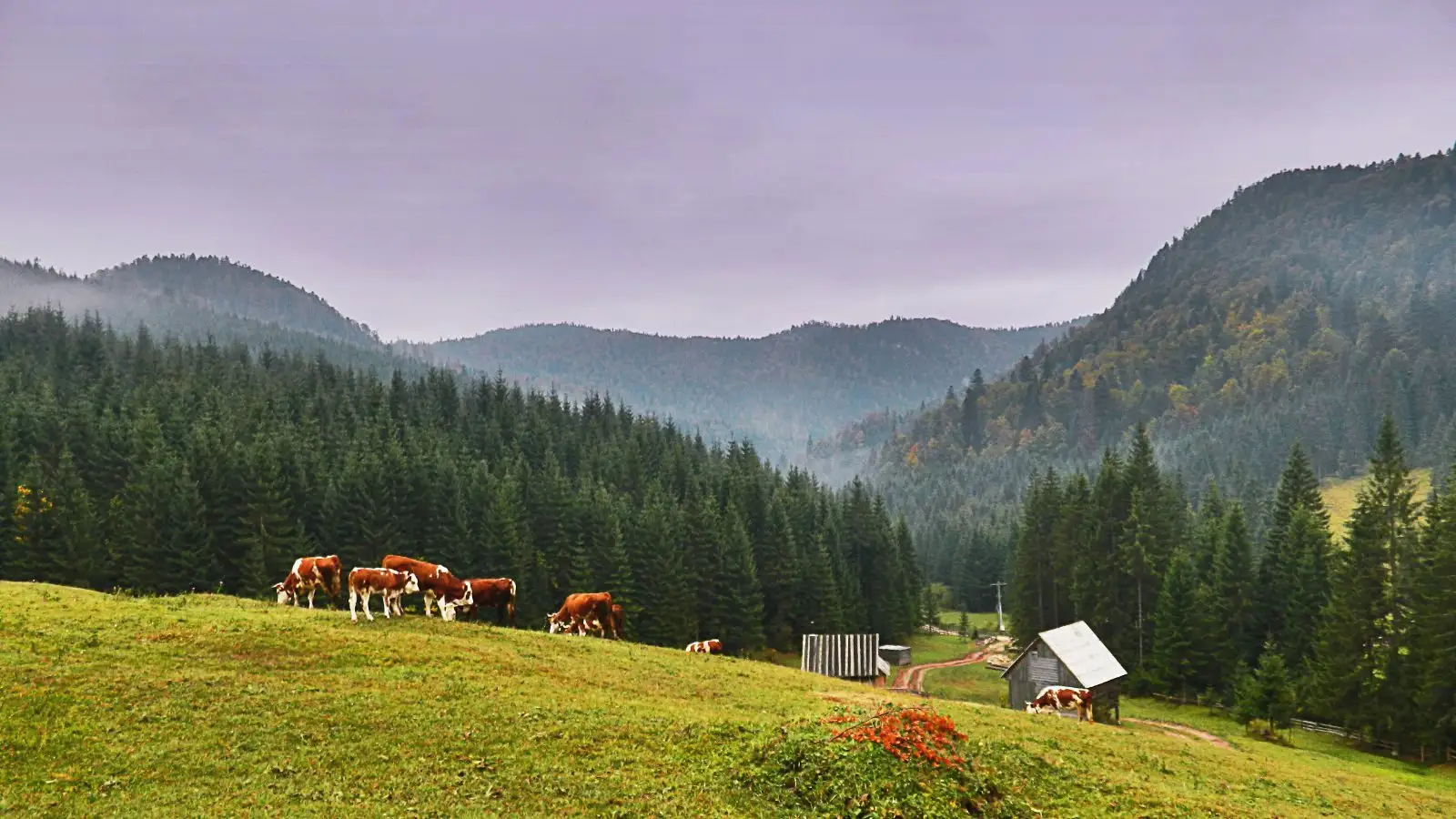  Catunul Casa de Piatra - Calatorii la singular