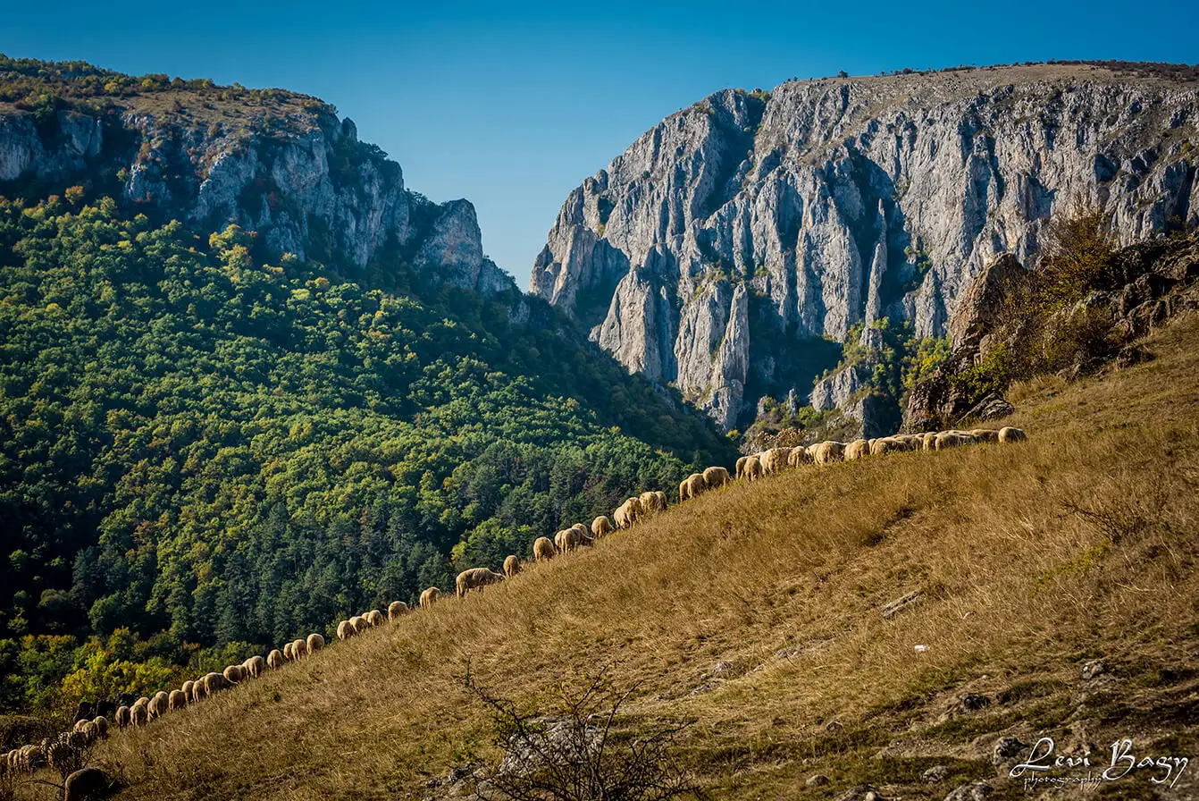  Cheile Turzii - Levi Bagy Photography