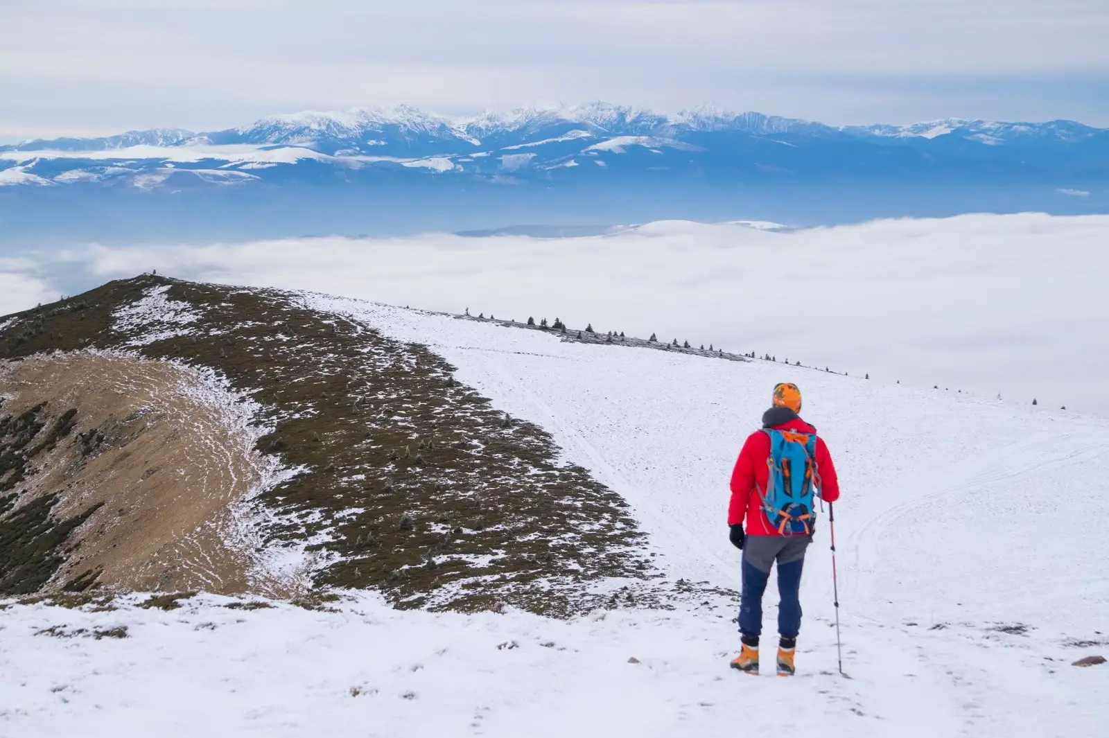 Cover Brumarel de Sureanu - Alina Cirja