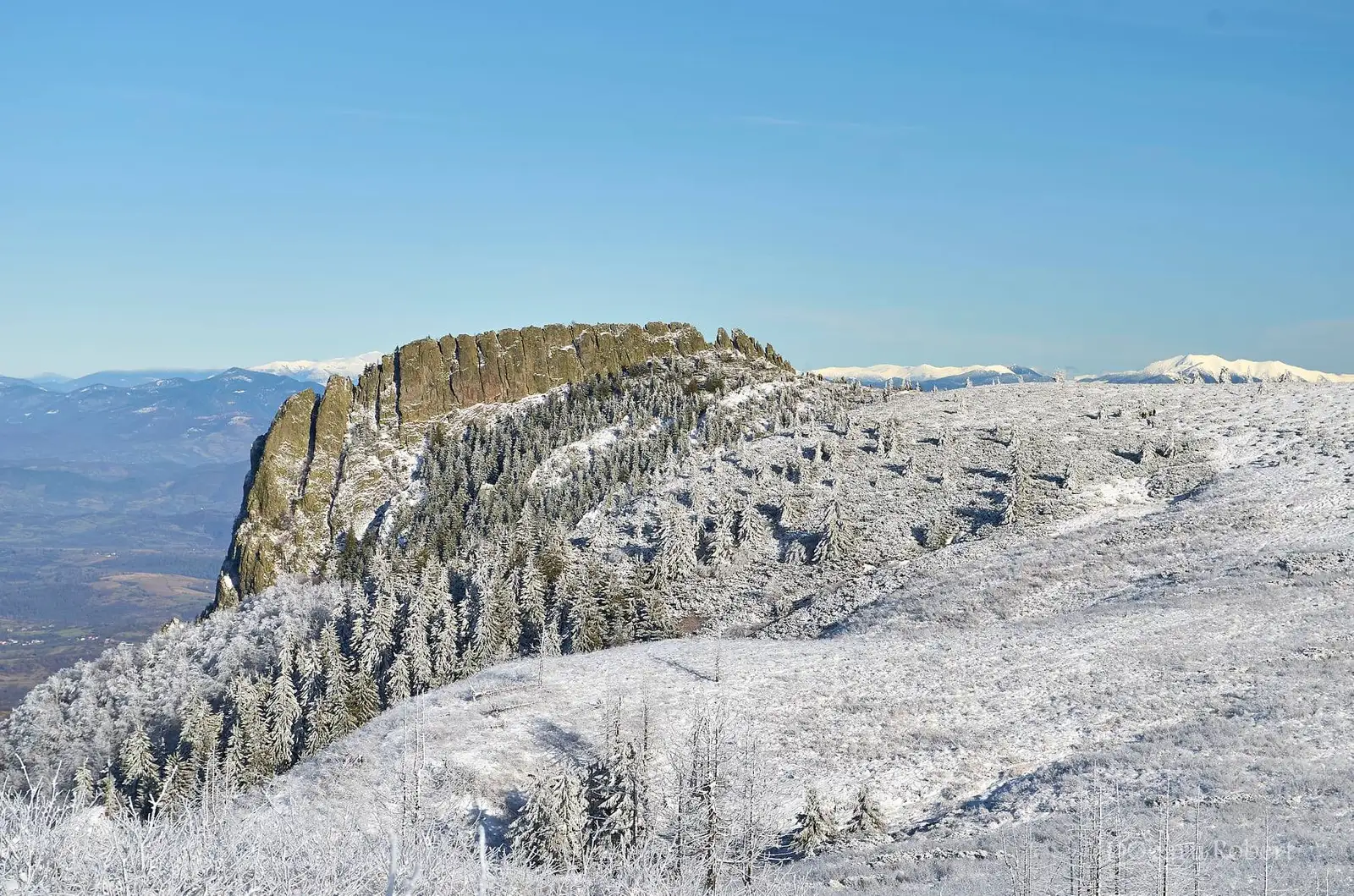 Creasta Cocosului - Robert Dogaru