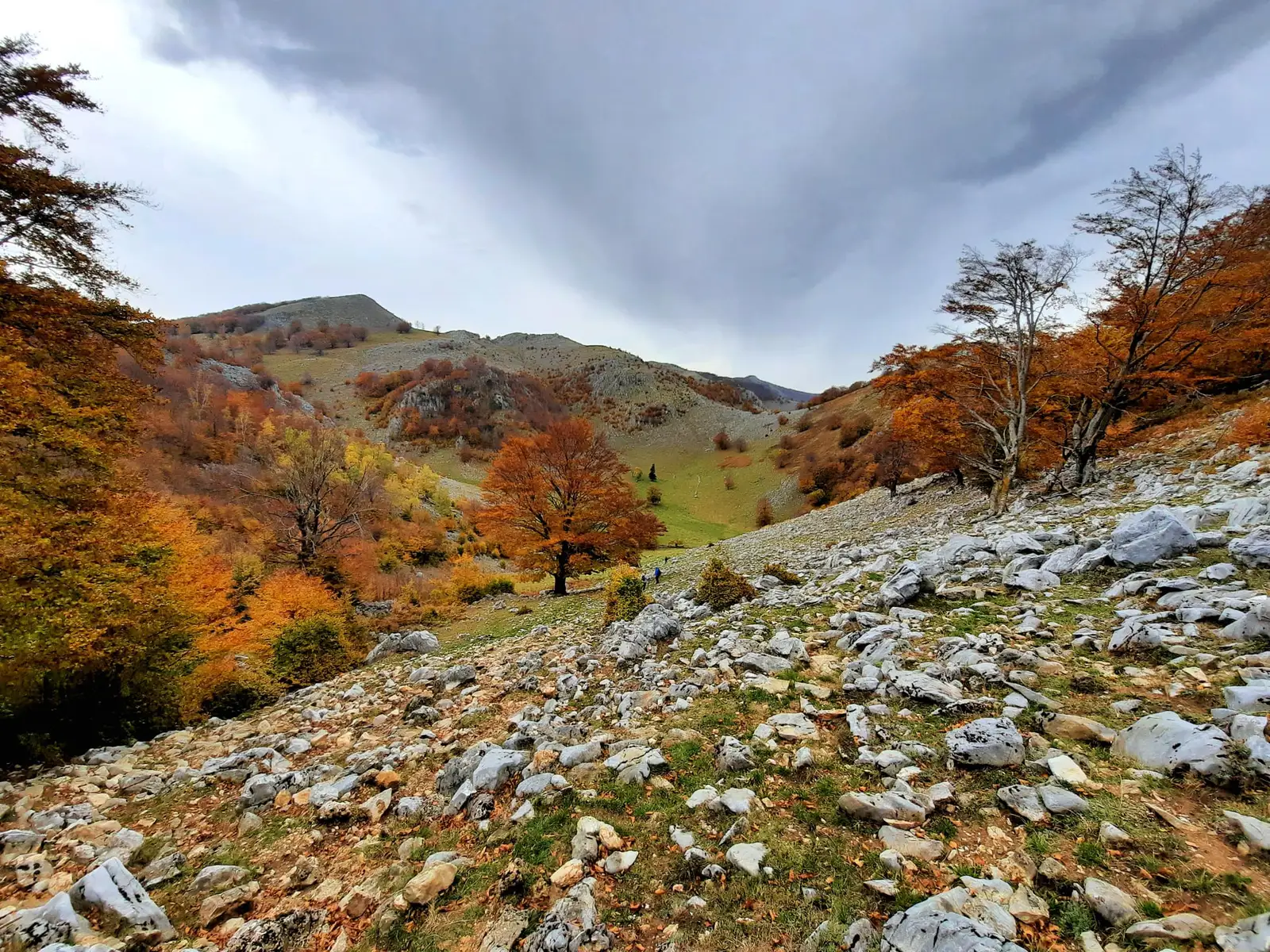 Crovul Mare din munţii Mehedinţi. - Sima Constantin