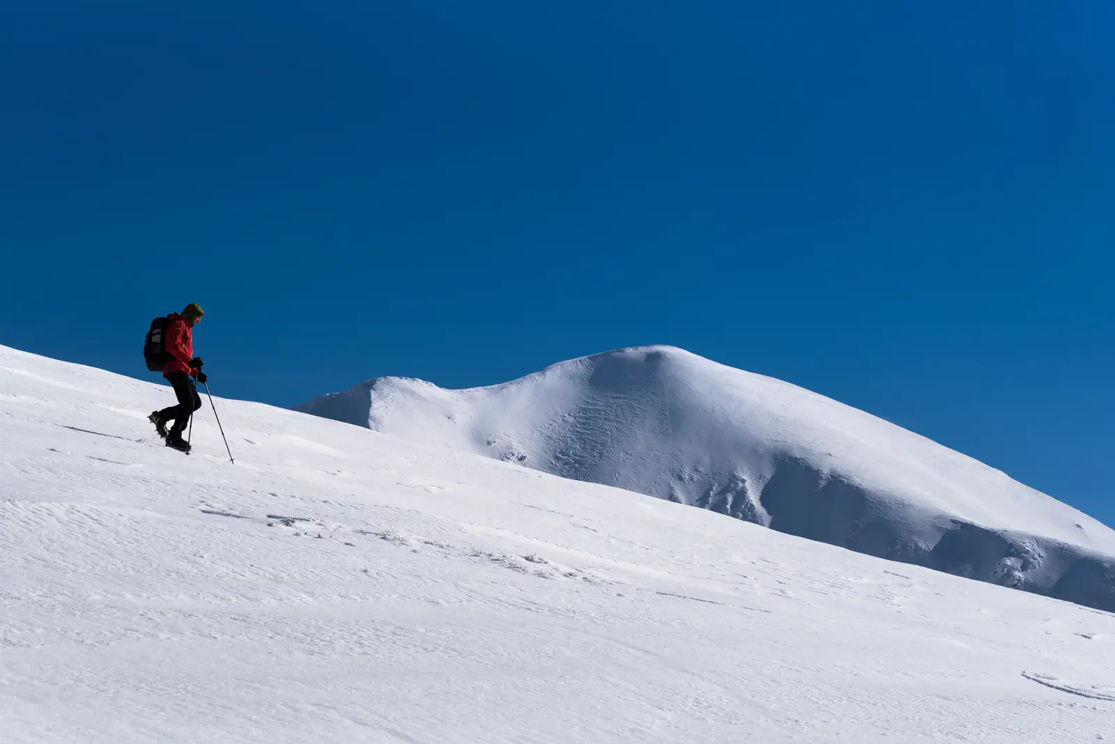  Carpații Meridionali