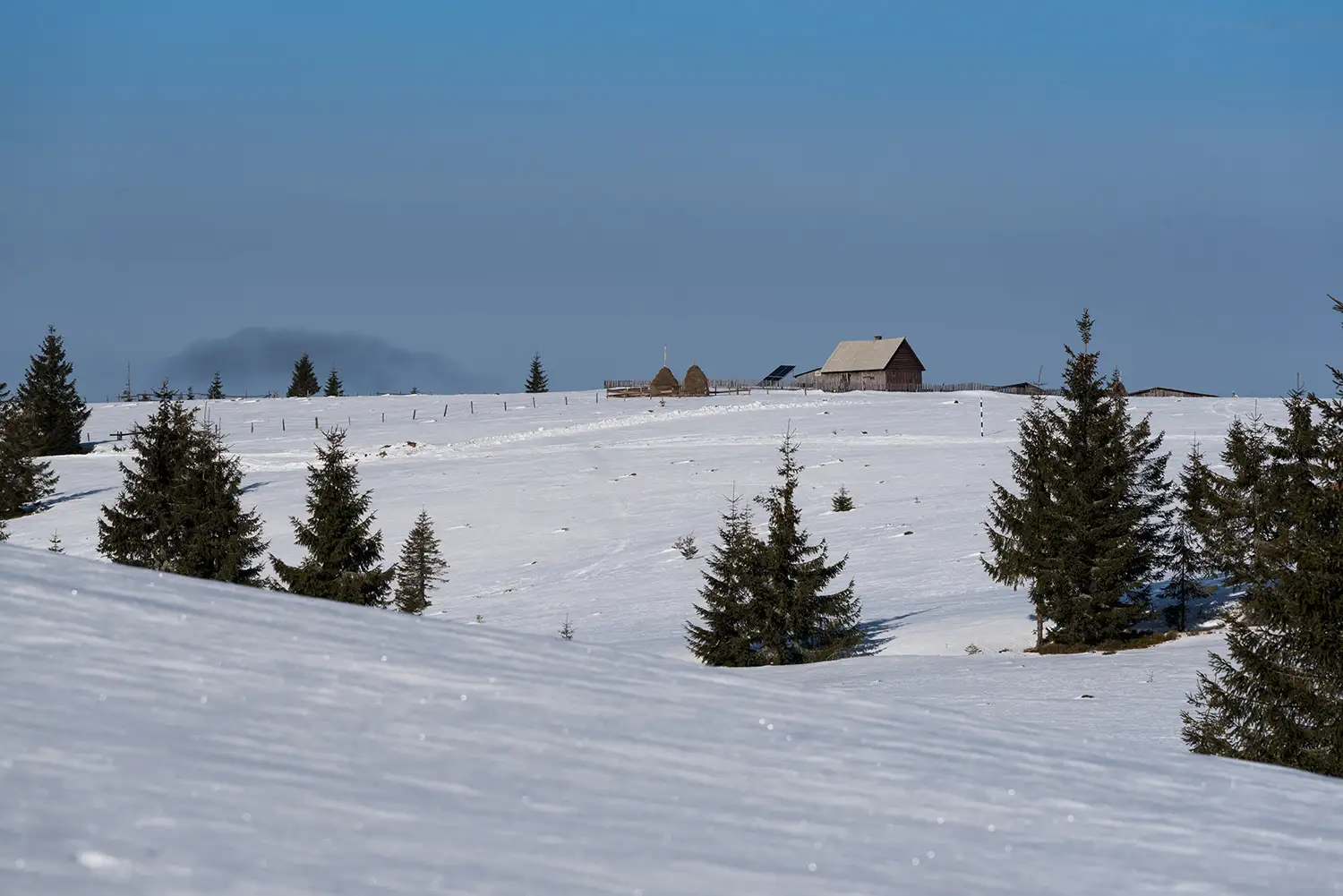  Munții Gilău - Muntele Mare